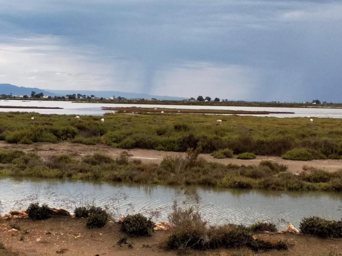 Apartamento Gelum Delta Del Ebro Sant Jaume d'Enveja Dış mekan fotoğraf