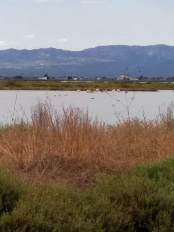 Apartamento Gelum Delta Del Ebro Sant Jaume d'Enveja Dış mekan fotoğraf