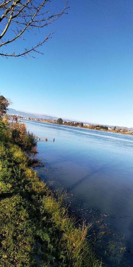 Apartamento Gelum Delta Del Ebro Sant Jaume d'Enveja Dış mekan fotoğraf