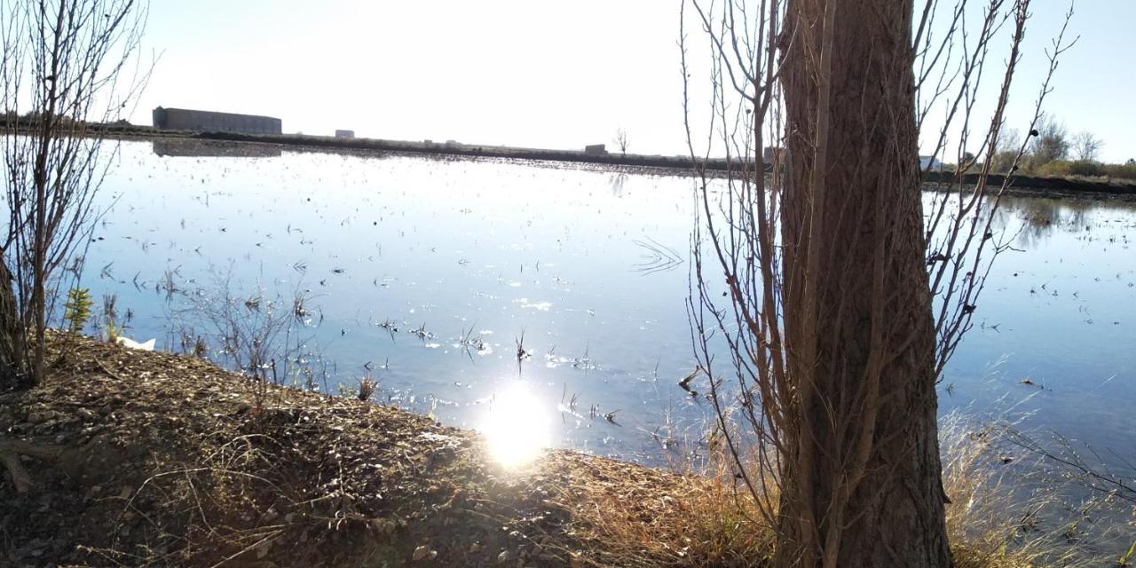 Apartamento Gelum Delta Del Ebro Sant Jaume d'Enveja Dış mekan fotoğraf